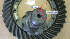 How to identify your differential